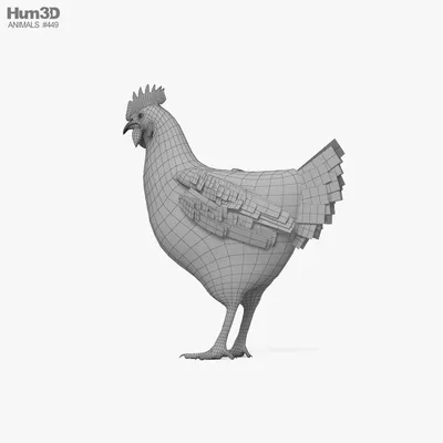 Черная курица / The Black Hen - купить с доставкой по выгодным ценам в  интернет-магазине OZON (138877240)