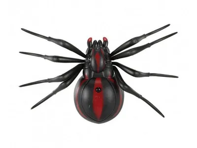 Паук Чёрная вдова на паутине, …» — создано в Шедевруме
