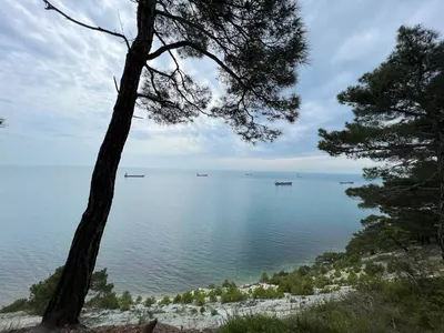 Штормы, дожди и мусор: российская туристка сообщила, почему она не хочет  больше отдыхать на Черном море | Туристические новости от Турпрома