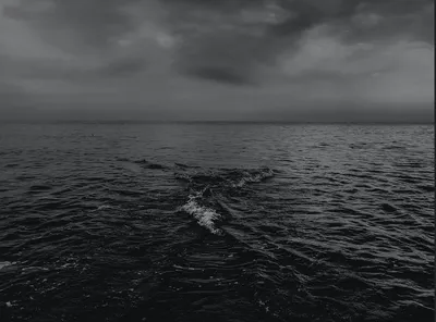 Черное море - интересные факты о водоеме, фото | Стайлер