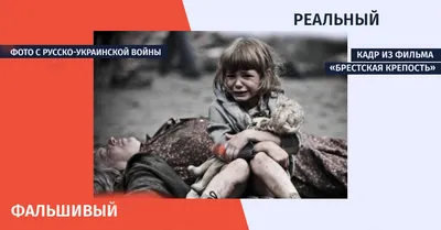 Что изображено на картинке фотографии