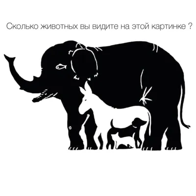 Презентация на тему: \"Экспериментирование с дошкольниками. Что изображено  на картинке?\". Скачать бесплатно и без регистрации.