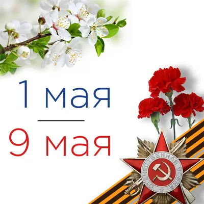 Как законно отметить 9 мая: пение, собрания и символика запрещены -  gazeta.ee