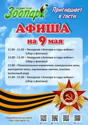 Парад на 9 Мая в Ярославле можно будет увидеть в прямом эфире- Яррег -  новости Ярославской области