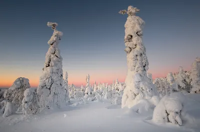 У нас чудесная зима (Зиновий Савин) / Стихи.ру