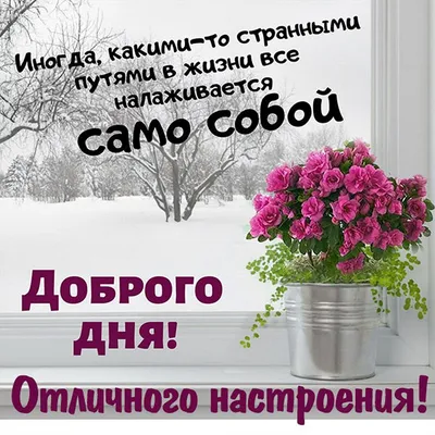 Открытки прекрасного дня и отличного настроения - 74 фото