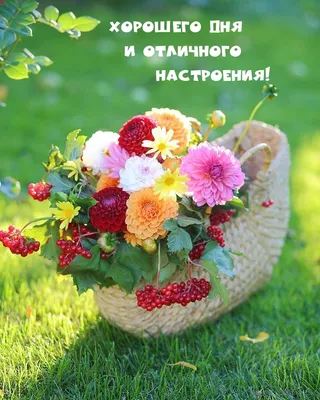 Всем доброго дня, хорошего настроения, всего самого доброго и хорошего!