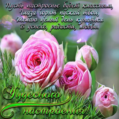 Открытки \"Хорошего дня!\" и \"Прекрасного настроения!\" (200+)