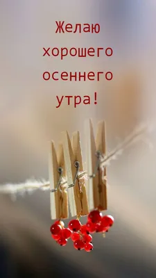 Чудесного осеннего дня #осень #день #хорошегодня #позитив #настроение |  TikTok