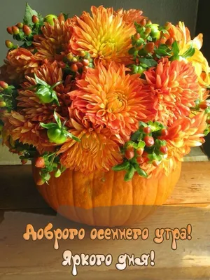 Хорошего осеннего дня и отличного настроения🍂 | Открытки Тедди | ВКонтакте