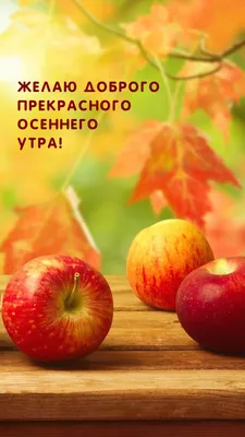 Картинка доброго осеннего утра и хорошего дня! | Осень, Открытки, Доброе  утро