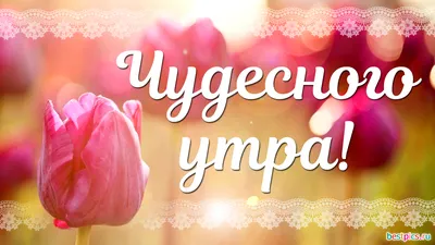 Чудесного утра