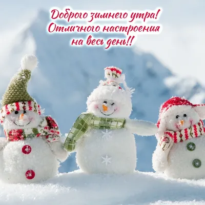 Хорошего зимнего дня! #хорошегодня #рекомендации | TikTok