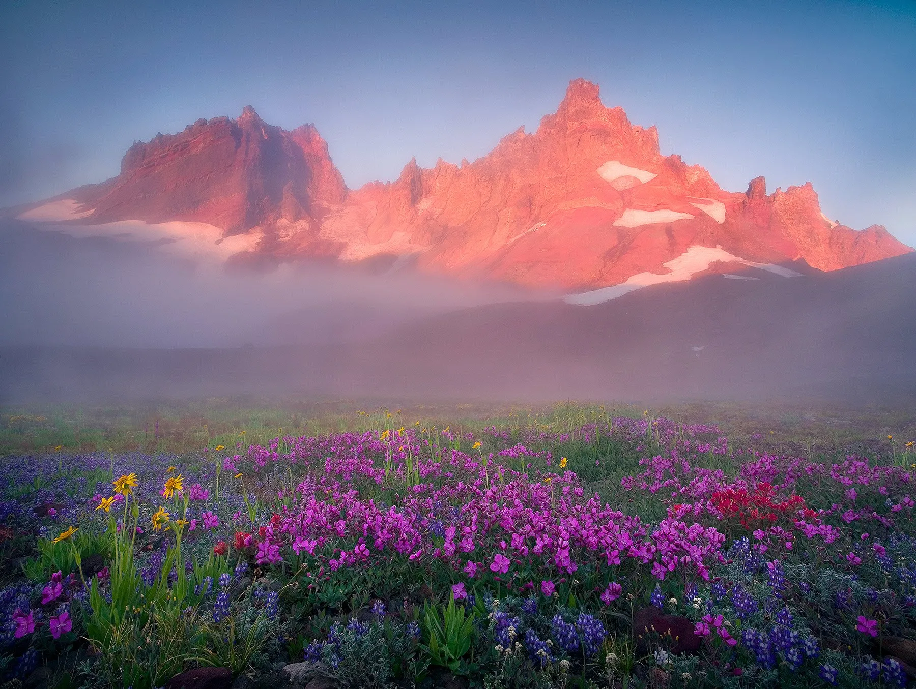 Красота Фото