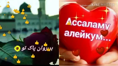 Рузи саиди чума муборак | TikTok