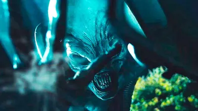 Картина не по номерам \"Чужой. Чужие. Alien. Aliens 2\" - купить с доставкой  по выгодным ценам в интернет-магазине OZON (352845261)