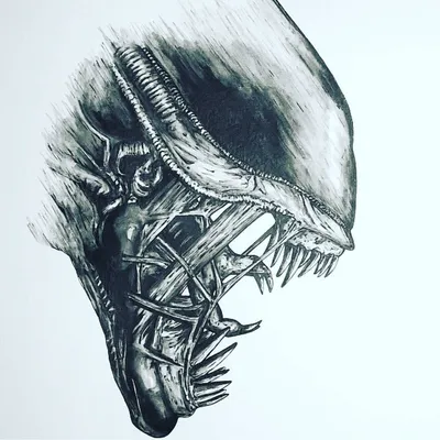 Alien, watercolours, Чужой, Ксеноморф | Alien vs predator, Alien artwork,  Alien vs