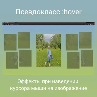 html - hover эффект при наведении на блок - Stack Overflow на русском
