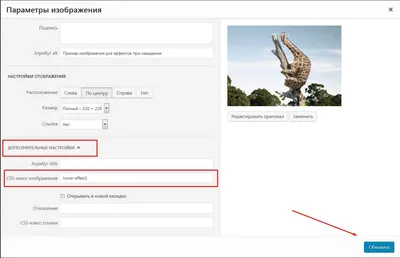hover эффекты в CSS для красивого отображения изображений на сайте — Ольга  Евдокимова на TenChat.ru