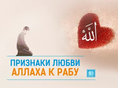 Исламский Магазин Подарков «Ар-Рияд» - Магазин Новинок (Грозный)