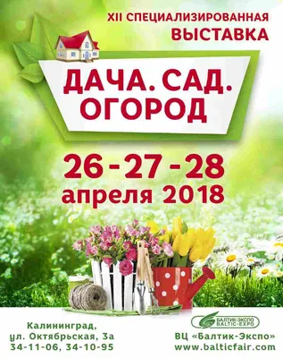 ДОМ🏡ДАЧА🌱САД🍒ОГОРОД🍅 (@blog_dacha) • Instagram photos and videos