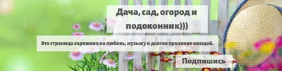 САД, ОГОРОД, ДАЧА, ПОДВОРЬЕ... | Для дома, Огород, Дача