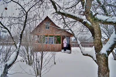 Зима на даче. :: Алексей Caveman – Социальная сеть ФотоКто