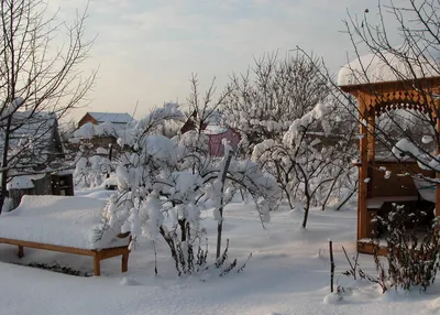 Как правильно: Подготовить сезонную дачу к зимней жизни | Houzz Россия