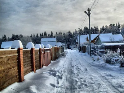Зимние фотосессии на даче: красивые локации и креативные идеи – блог  интернет-магазина Порядок.ру