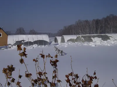 Купить Картина \"Зима на даче\", холст, масло, 40х50см , цена 17500р.