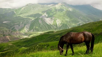 ТОП-5 мест в Дагестане, которые хотят увидеть туристы. Сколько стоят туры  на осень | Ассоциация Туроператоров