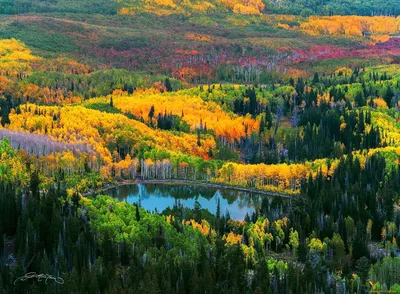 Скачать обои осень, деревья, горы, река, ущелье, Россия, кусты, Дальний  Восток, раздел природа в разрешении 640x960