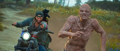 Reacher | Days Gone Wiki | Fandom