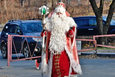 Дед Мороз музыкальный 40см / танцующий санта клаус / новый год / дед мороз  под елку - купить по выгодной цене в интернет-магазине OZON (413065661)