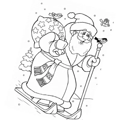 Дед Мороз прокатился на горных лыжах в Сочи (ФОТО)