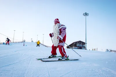 Купить Чемоданчик Дед Мороз на лыжах - Подарки в упаковке из картона