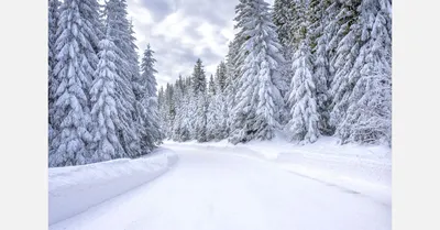 КАЛЕНДАРЬ НА ДЕКАБРЬ!