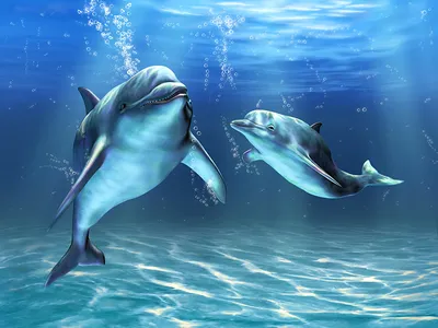 Обои для рабочего стола Дельфины Подводный мир 2 Животные