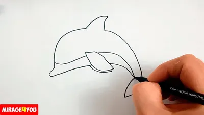 Пара дельфинов - рисунок Christian Lassen - Морской мир
