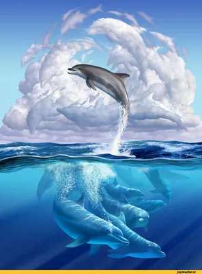 Дельфин Мультяшный, Голубой дельфин малыш, синий, морской Млекопитающее,  нарисованный png | PNGWing