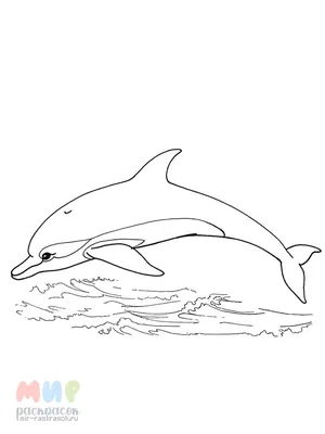 Рисунок на ткани Матренин Посад \"Дельфины в море\" 37x49 см - купить с  доставкой по выгодным ценам в интернет-магазине OZON (802821637)