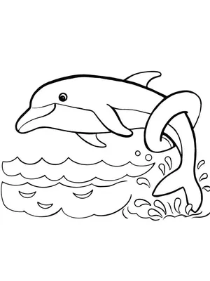Маленький дельфин водное существо океана водное PNG , дельфин, маленький  дельфин, океан PNG картинки и пнг рисунок для бесплатной загрузки