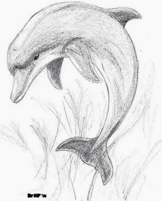 милый дельфин, нарисованный детским генерационным помощником Иллюстрация  штока - иллюстрации насчитывающей морск, генеративно: 269684903
