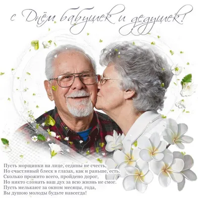 День бабушек и дедушек – 2023: картинки и открытки с поздравлениями к 28  октября - МК Волгоград