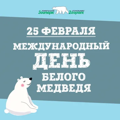 27 февраля – Международный день полярного медведя | Общество лесоводов