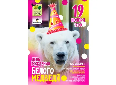 В Ростовском зоопарке отметят День белого медведя | ROSTOF.RU