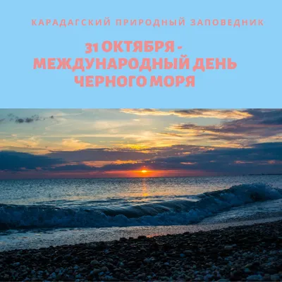 Международный день Чёрного моря - Официальный сайт ГБУ СОДО \"ОЦЭКИТ\"