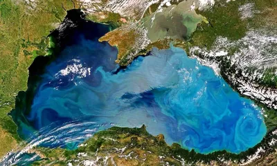 Чёрное море экология - Солнечный Берег