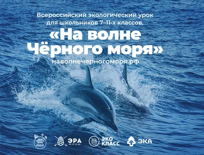 Сегодня отмечается международный День Чёрного моря
