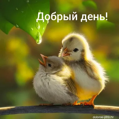 Открытки - Добрый день! | Facebook